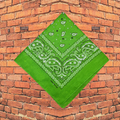Lime Green Bedazzled Bandana