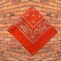 Orange Bedazzled Bandana