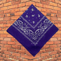 Purple Bedazzled Bandana